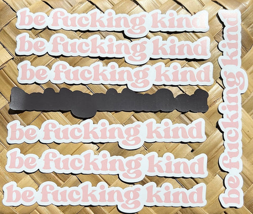 Be Fucking Kind Magnet, 6.5x1in.