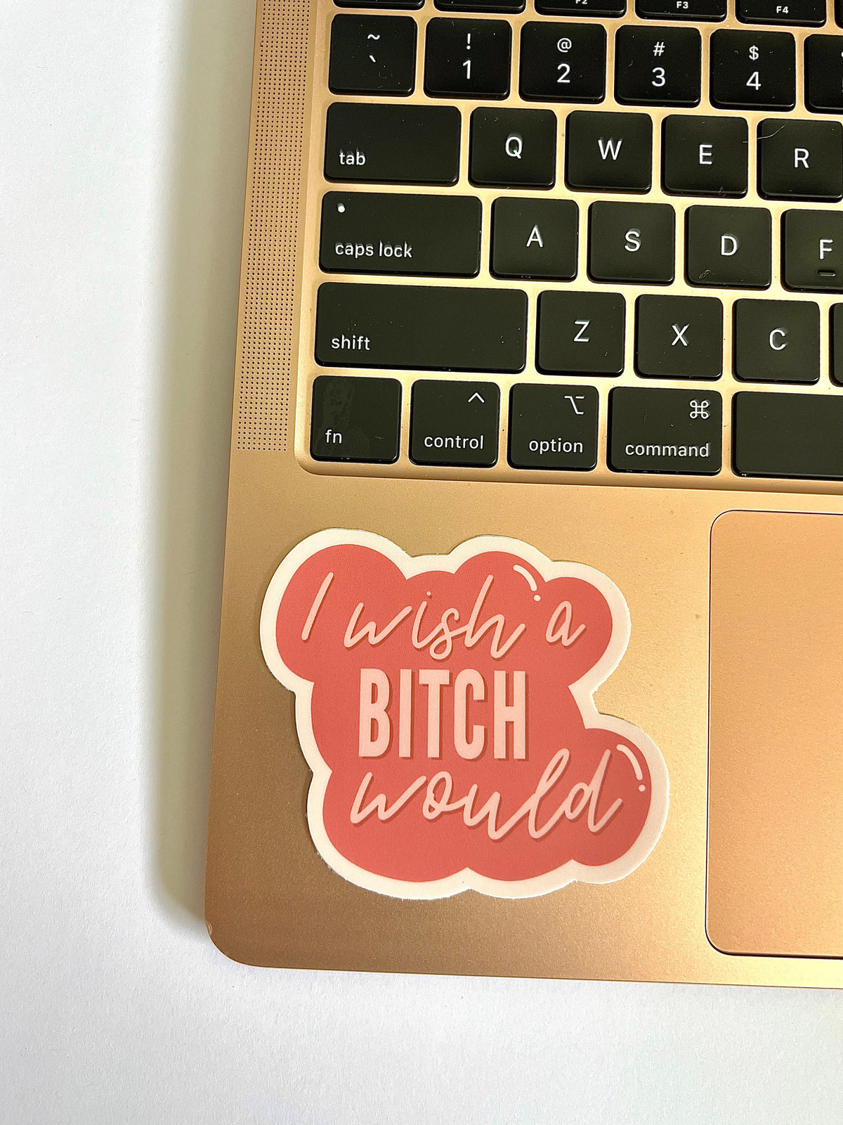 I Wish a Bitch Would Sticker/Magnet, 3x2.75in.