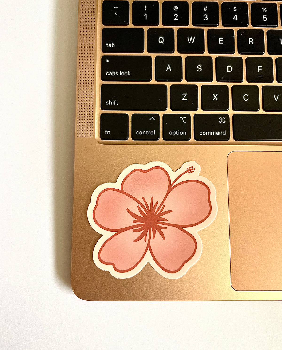Hibiscus #2 Sticker/Magnet, 3x2.75"