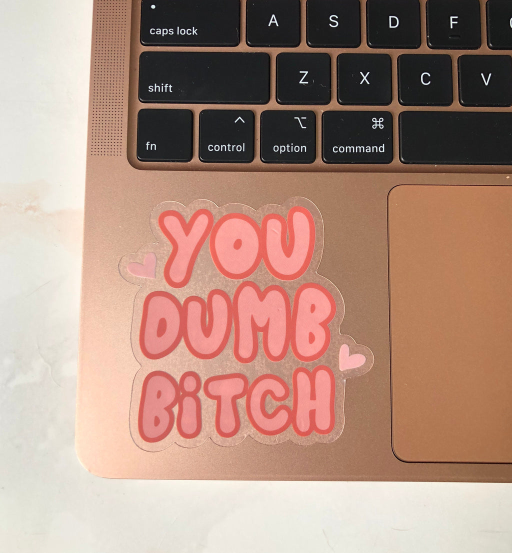 You Dumb Bitch Clear Sticker, 3x3in.