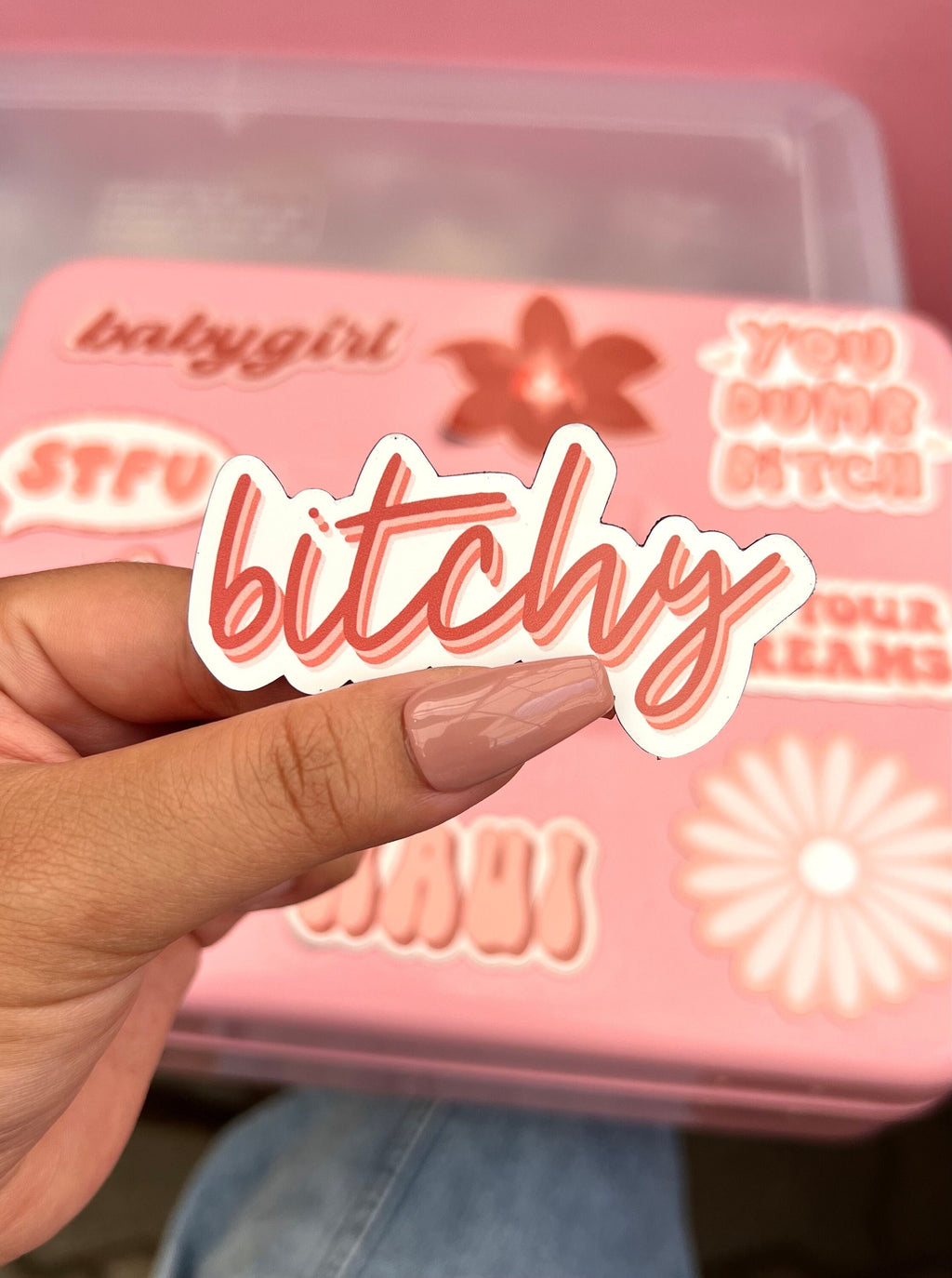 Bitchy Pink Magnet, 3x1.5"