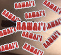 Red Pink Hawaii Magnet, 3x1 in.