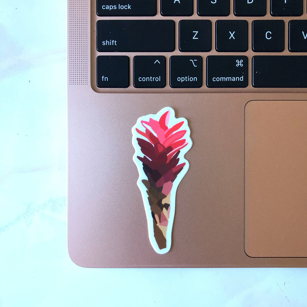 Ginger Plant Sticker/Magnet, 3x1.25 in.