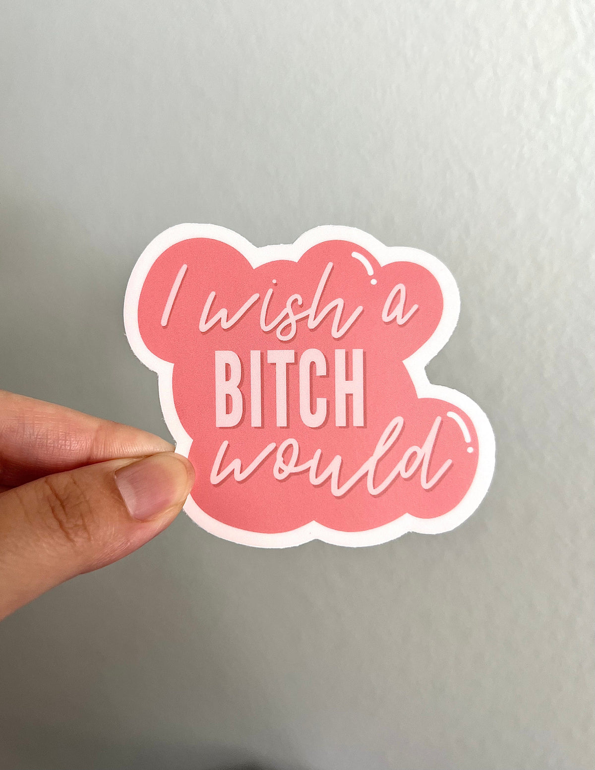 I Wish a Bitch Would Sticker/Magnet, 3x2.75in.