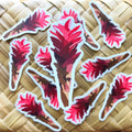 Ginger Plant Sticker/Magnet, 3x1.25 in.