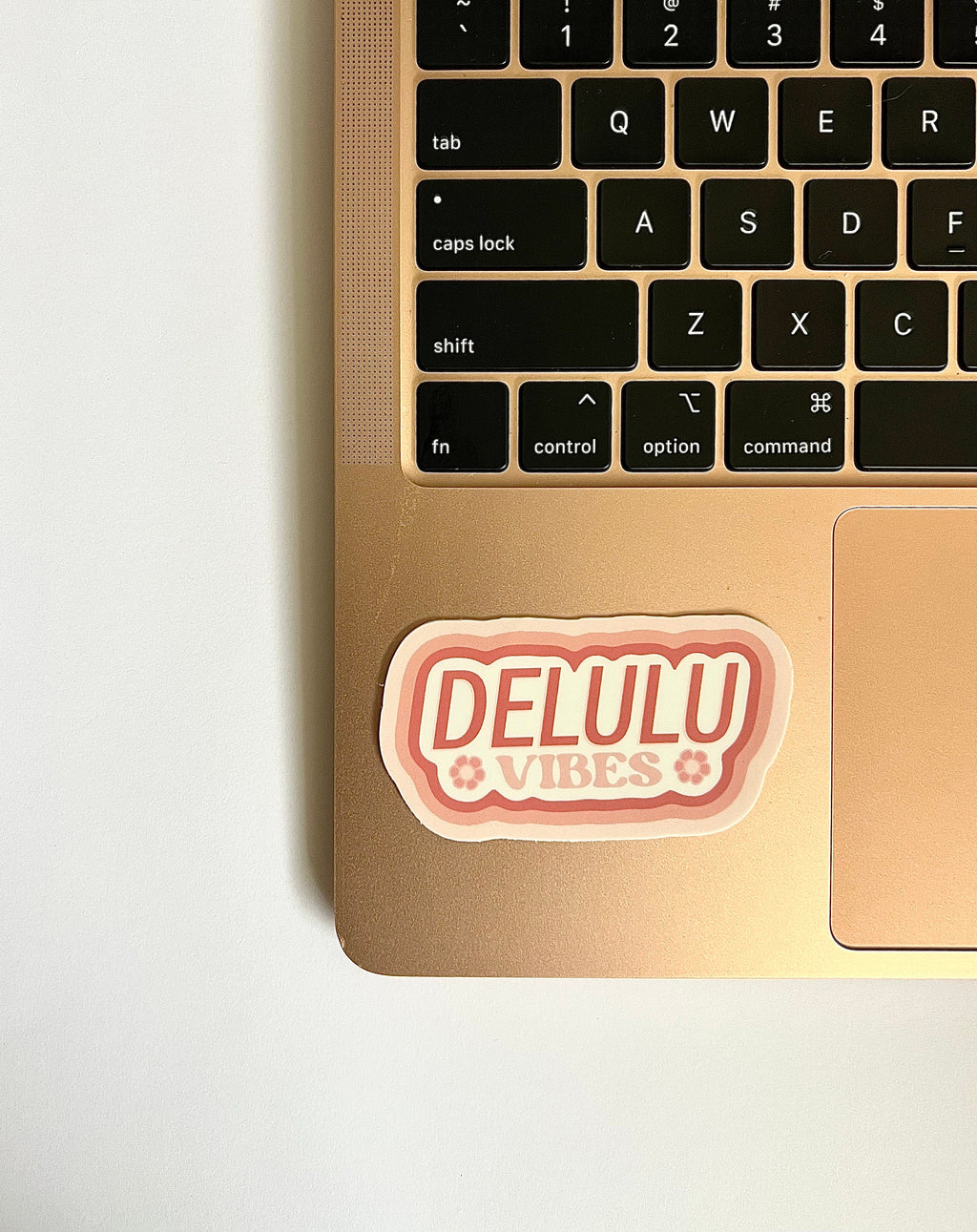 Delulu Vibes Sticker/Magnet, 3x1.5in.