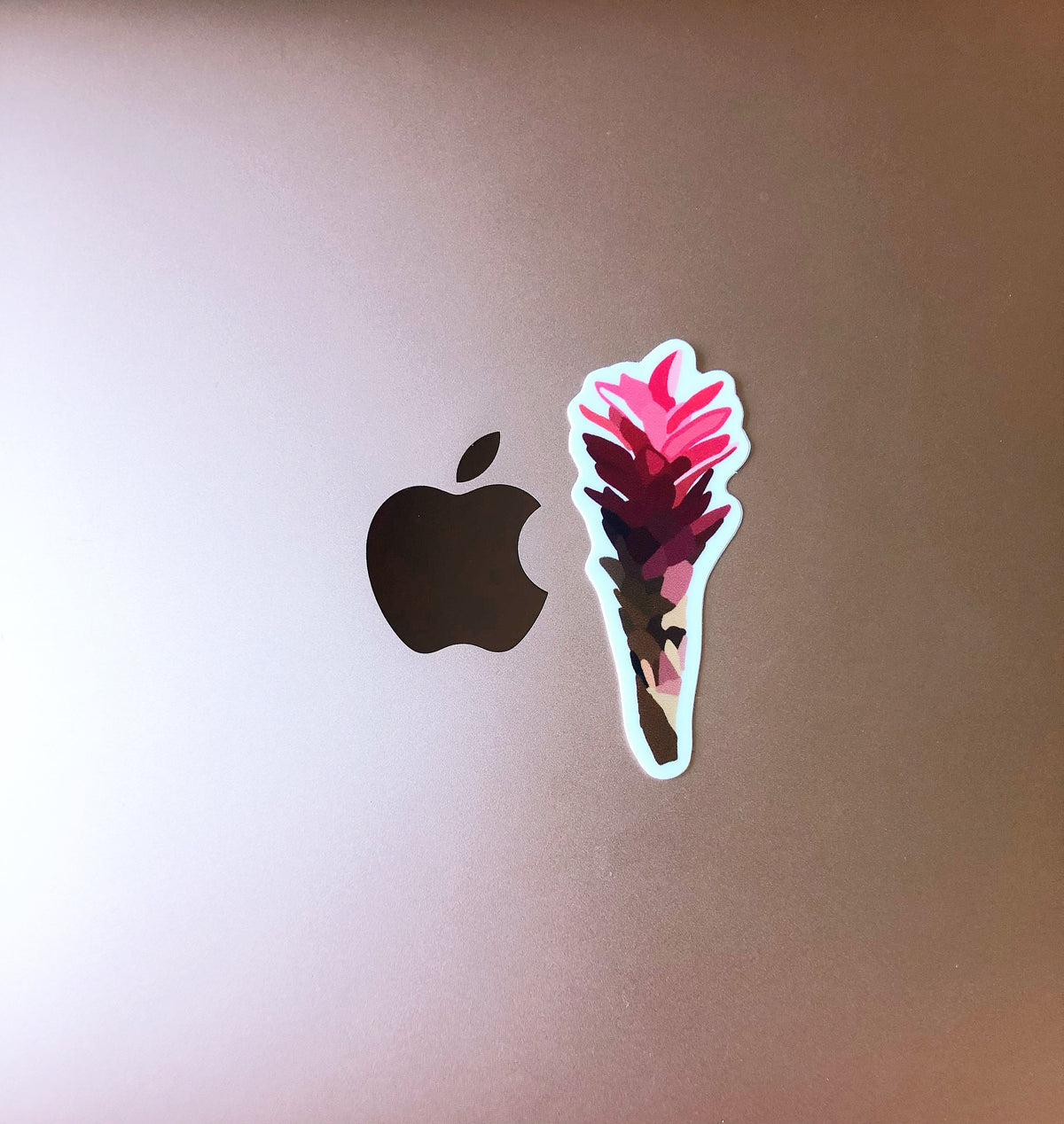 Ginger Plant Sticker/Magnet, 3x1.25 in.
