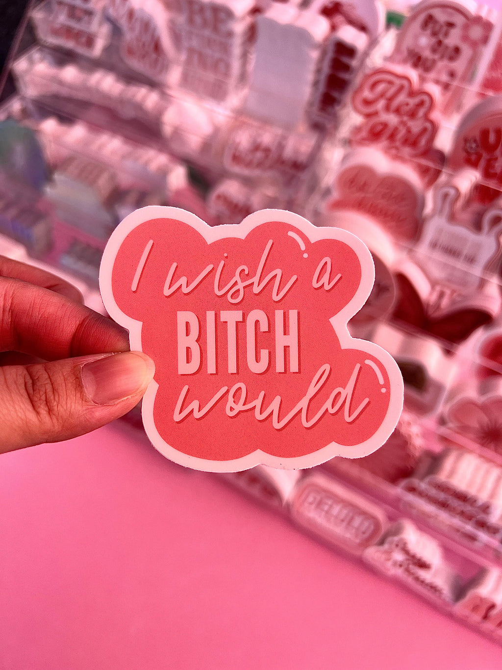 I Wish a Bitch Would Sticker/Magnet, 3x2.75in.