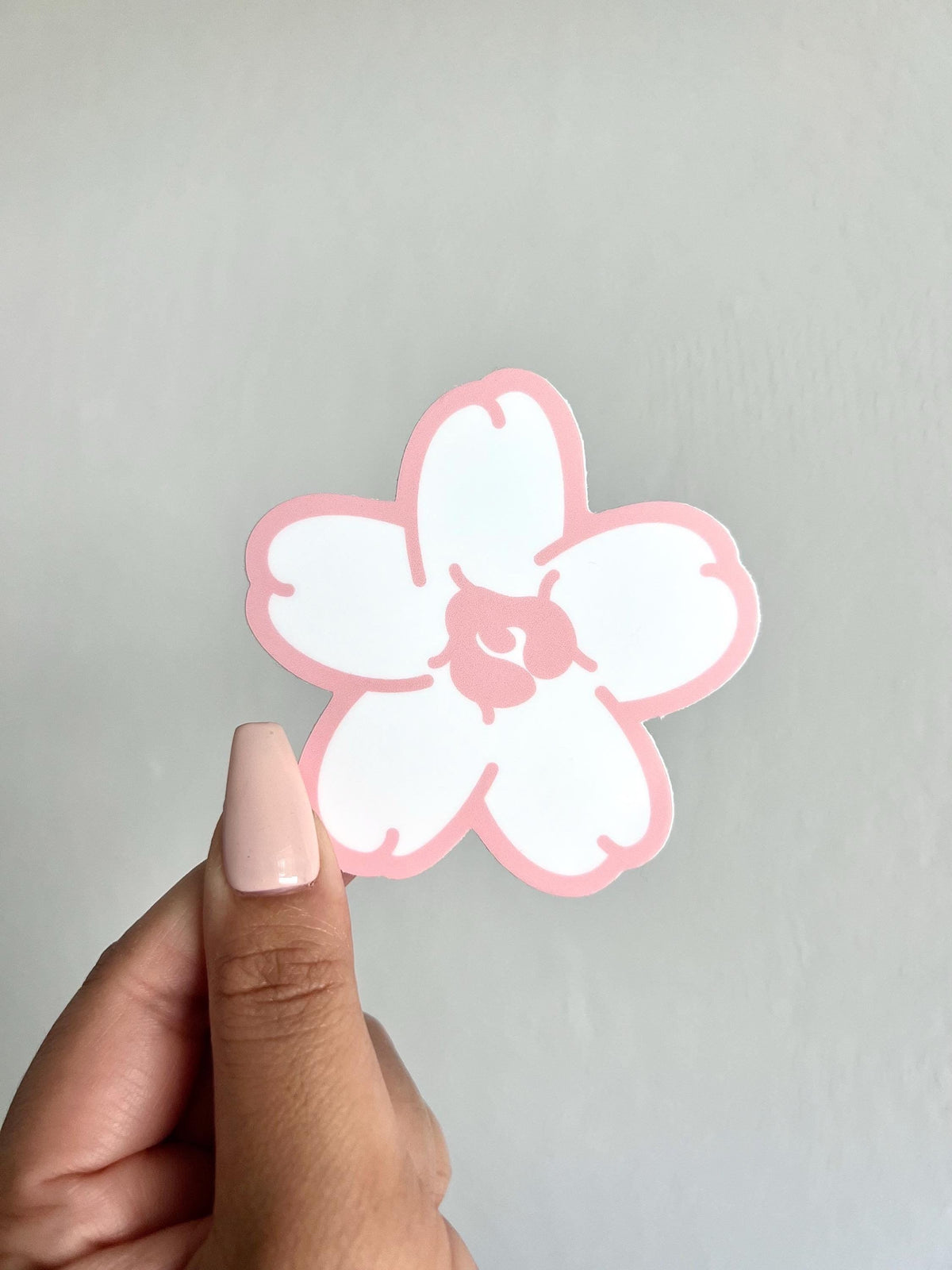Puakenikeni Pink Sticker/Magnet, 3x3"
