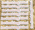 Be Fucking Kind Magnet, 6.5x1in.